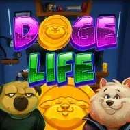 Doge Life thumbnail